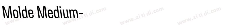 Molde Medium字体转换